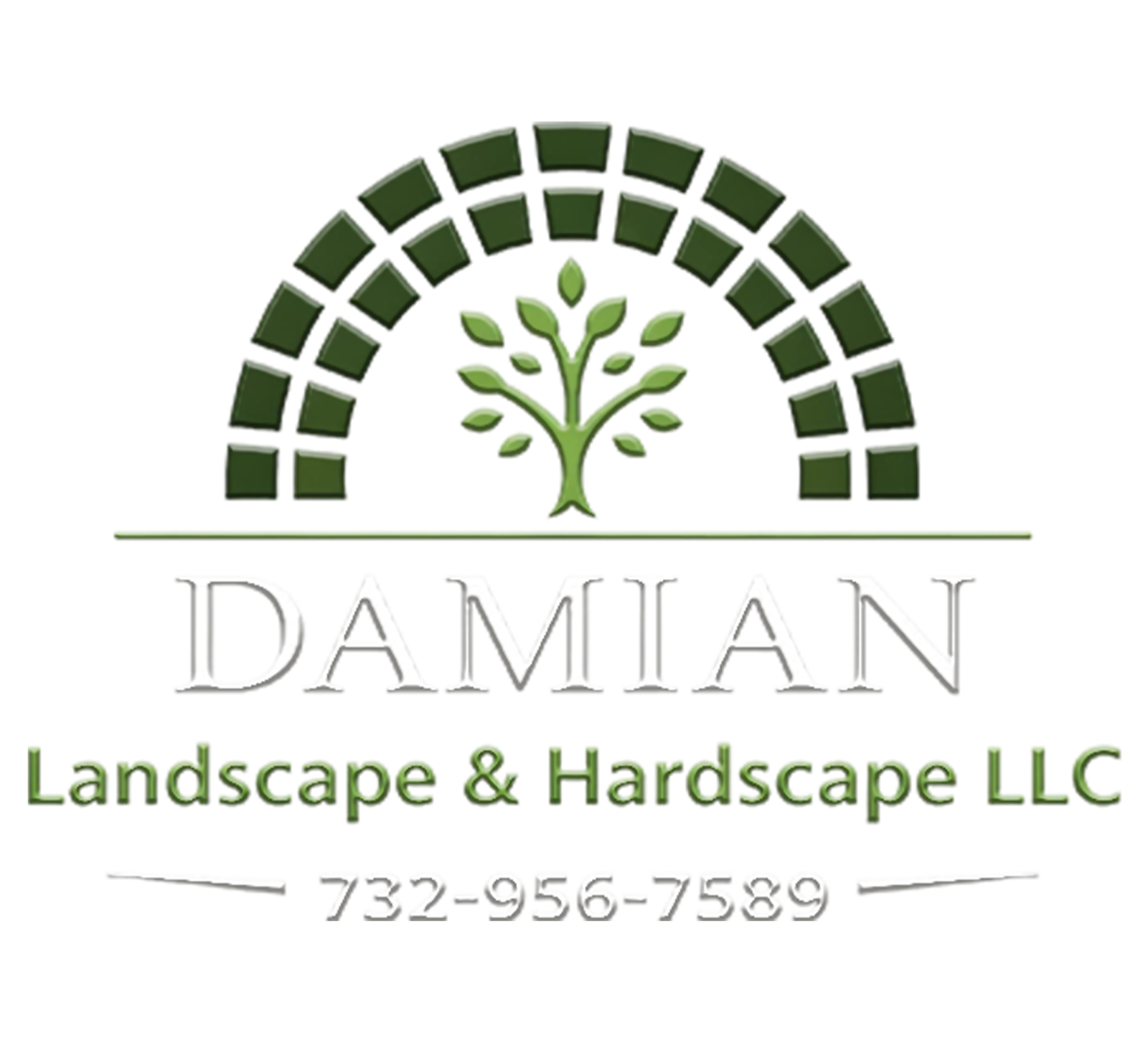 Damian Landscape & Hardscape LLC